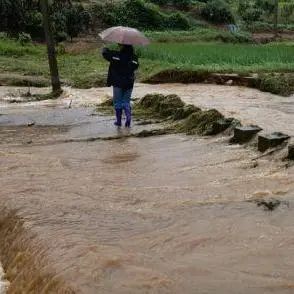 追记“时代楷模”孙丽美：倾情投身乡村振兴一线