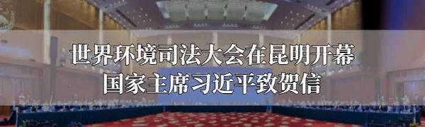 正在迁徙的云南15头野象会去哪里？