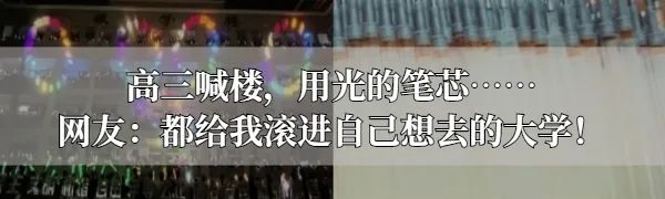 正在迁徙的云南15头野象会去哪里？