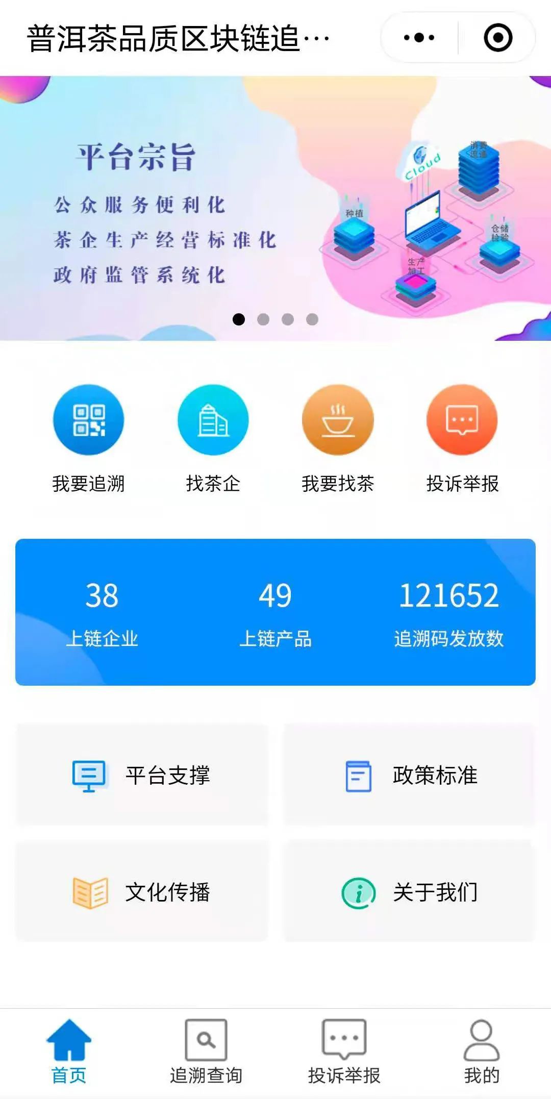 聚焦 | 七彩云南，让人“象”往