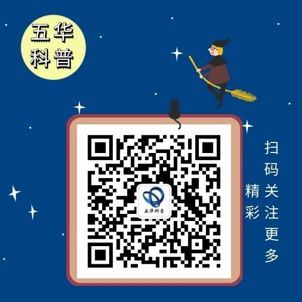 动手实践科普小实验 | 昆明市莲华小学同学自制科普小视频