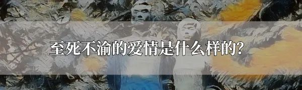 正在迁徙的云南15头野象会去哪里？