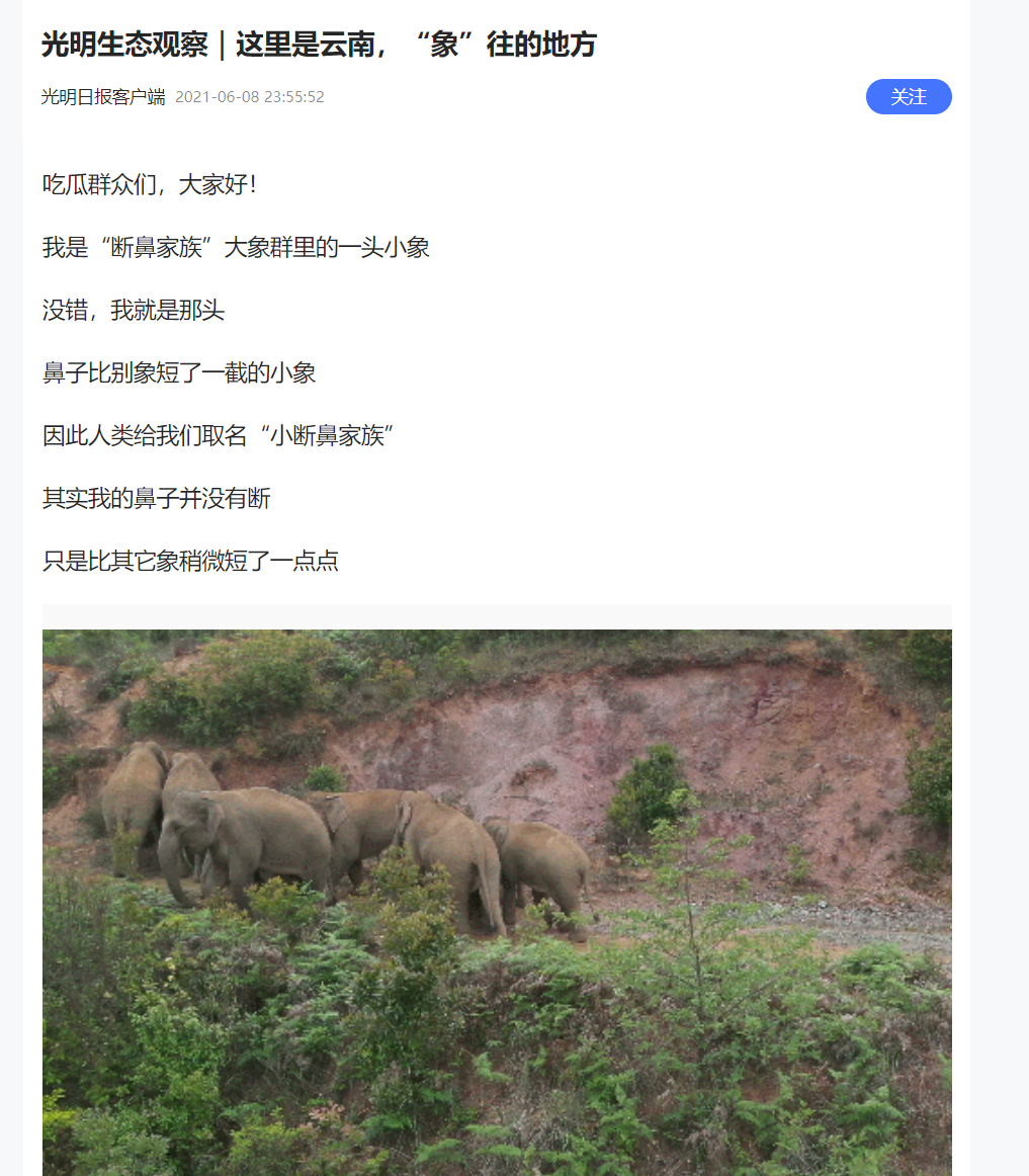 关注 | “大象旅行团”火遍国内外，赞誉无数！云南，每一个“象”往的地方都值得您来看一看……