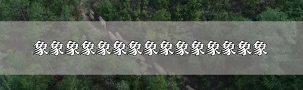 正在迁徙的云南15头野象会去哪里? 正在迁徙的云南15头野象会去哪里?