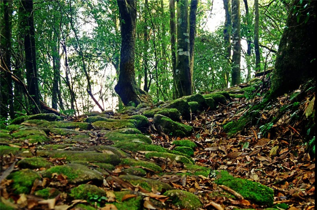 “象”往的山川 “象”往的山川