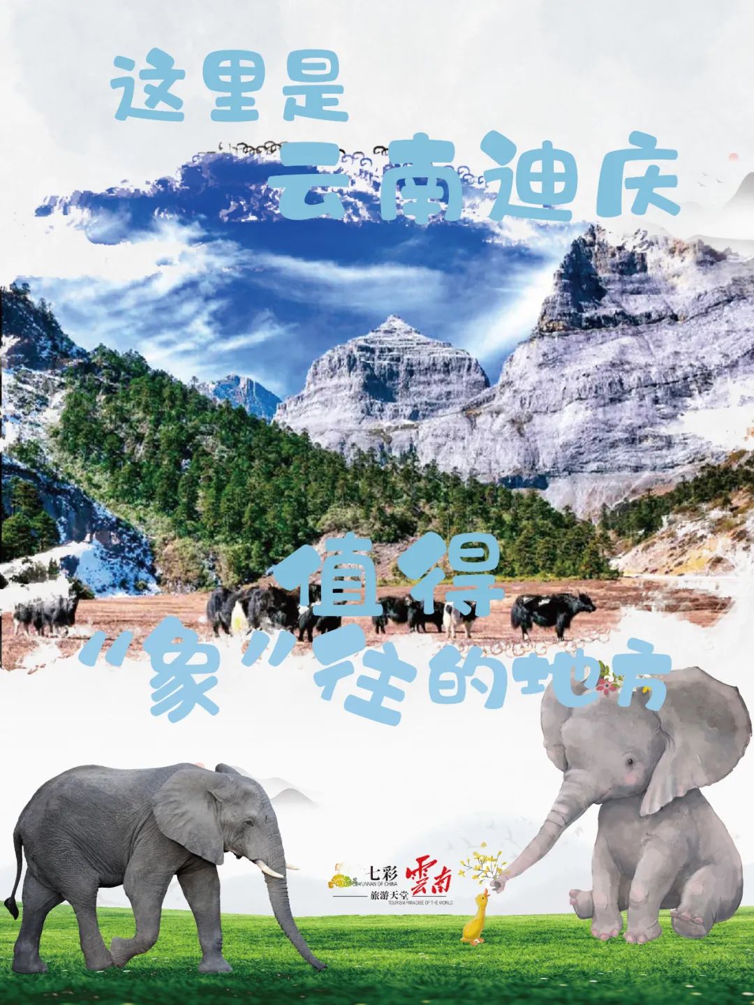 关注 | “大象旅行团”火遍国内外，赞誉无数！云南，每一个“象”往的地方都值得您来看一看……