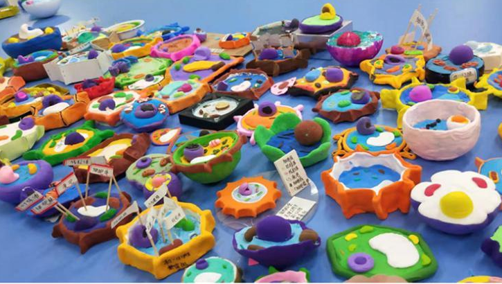 校园科技 | 昆明理工附中科技校园风采展示活动 校园科技 | 昆明理工附中科技校园风采展示活动