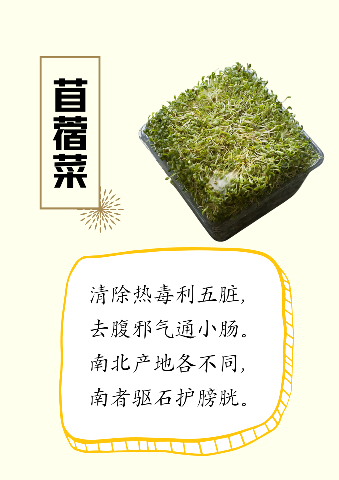 蔬菜食疗养生诗，建议收藏～