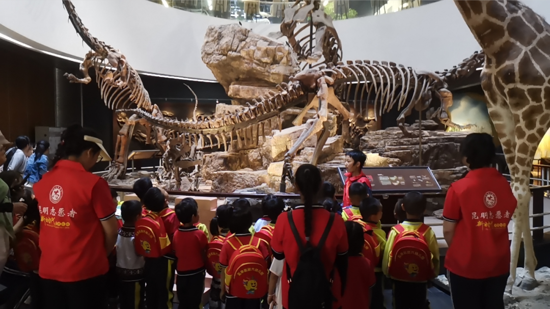五华区开展“探秘动物王国 传播科学种子”科普研学活动 五华区开展“探秘动物王国 传播科学种子”科普研学活动
