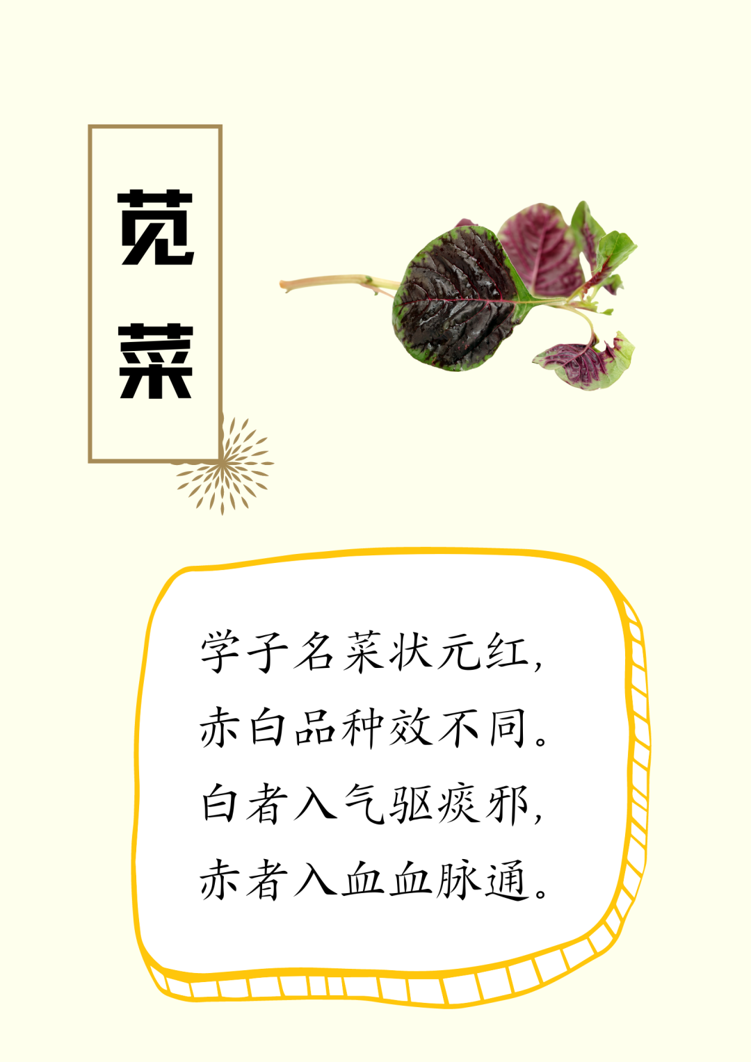 蔬菜食疗养生诗，建议收藏～