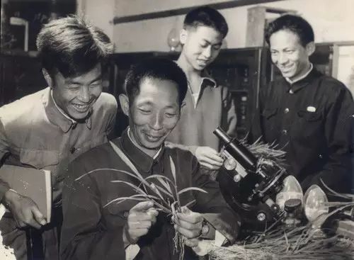 天上有两颗星告诉你：好好吃饭，健康长大