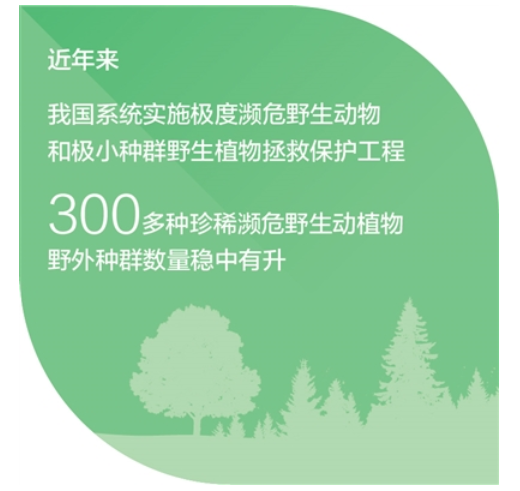 弘扬科学家精神 | 太酷啦！云南这个实验室7年发现600个新物种