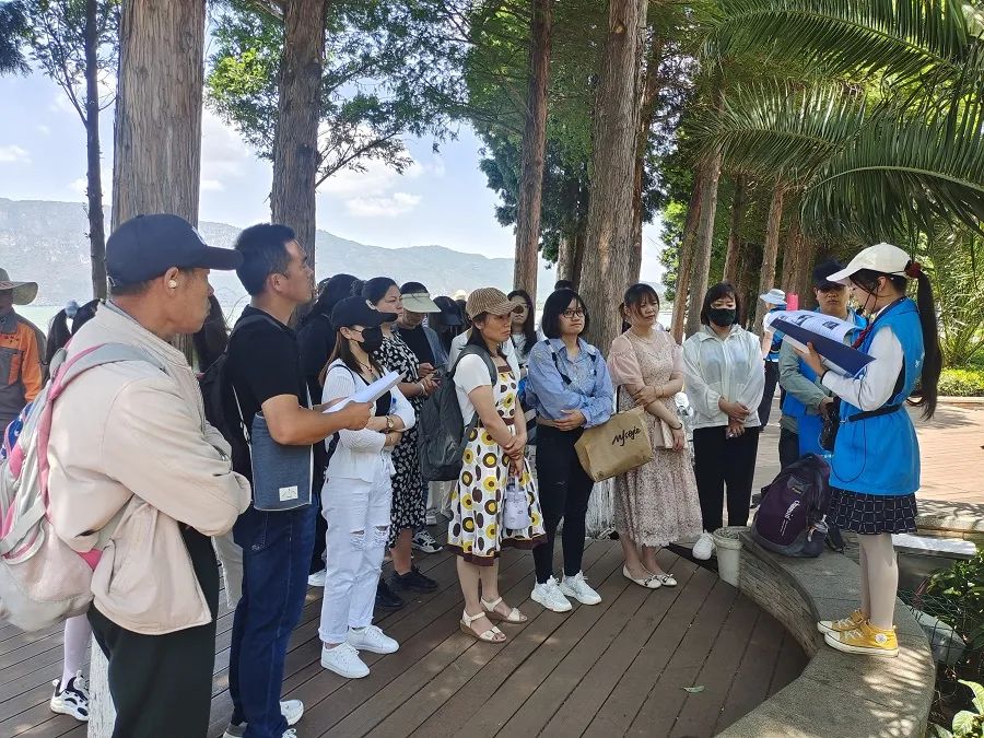 昆明小学生走进滇池湿地观鸟 宣传生态保护