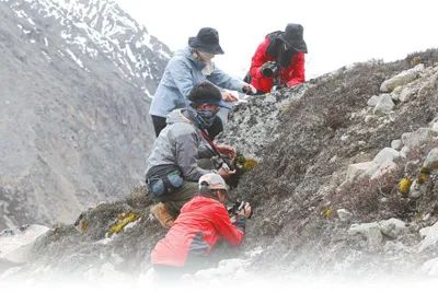 弘扬科学家精神 | 太酷啦！云南这个实验室7年发现600个新物种