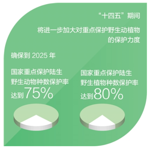弘扬科学家精神 | 太酷啦！云南这个实验室7年发现600个新物种