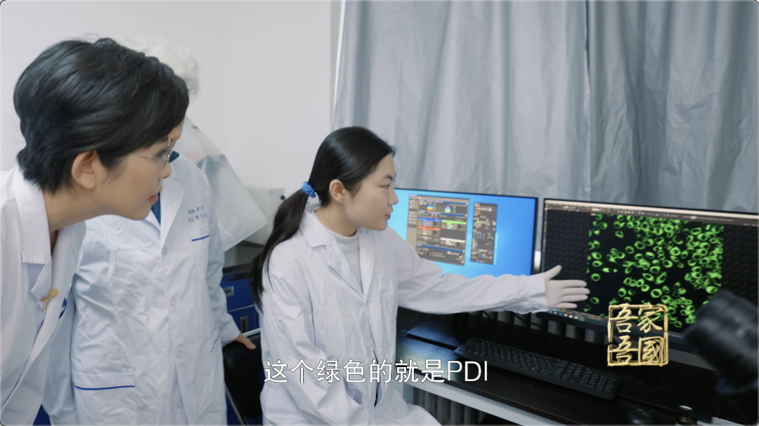 弘扬科学家精神 | “在实验室里，我才觉得踏实、快乐、幸福”