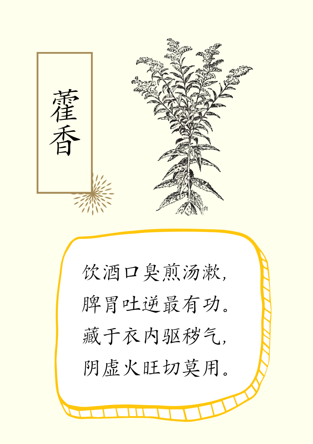 蔬菜食疗养生诗，建议收藏～
