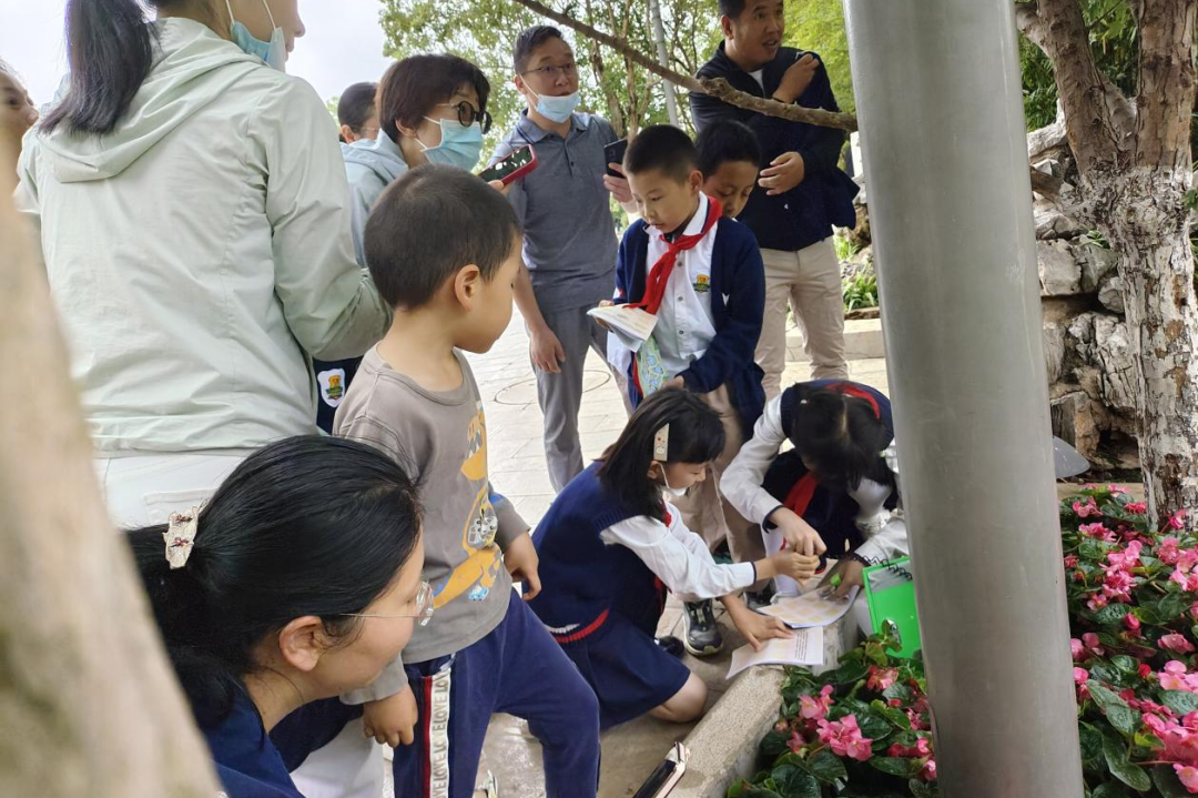 红旗乐教树 | 端午小长假,科普我参与 红旗乐教树 | 端午小长假,科普我参与