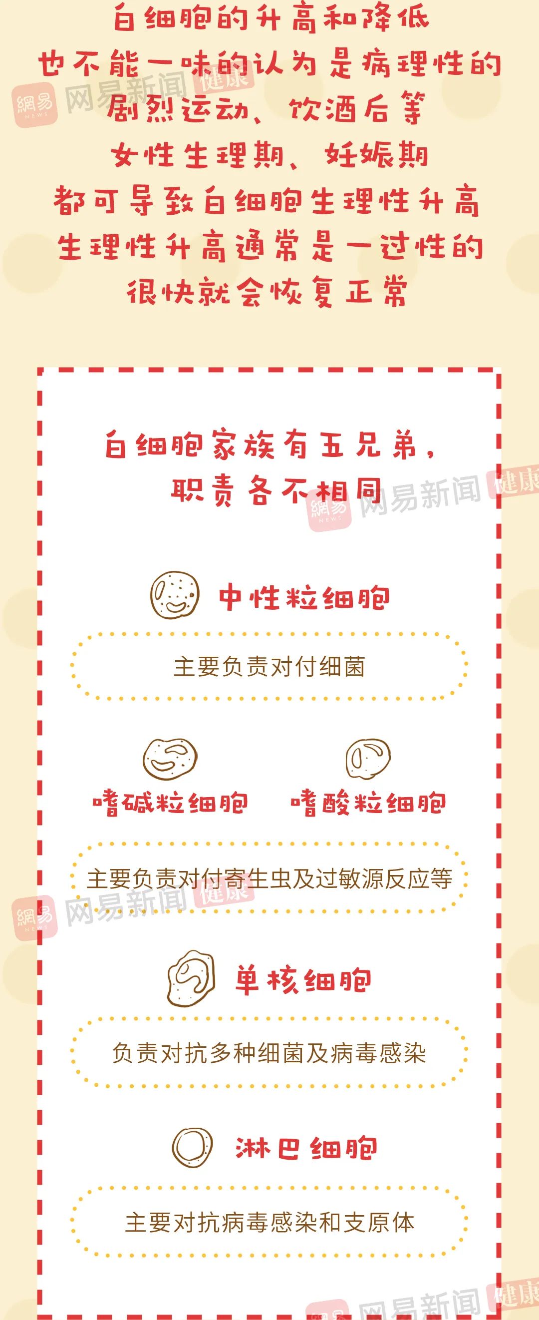 血常规结果看不懂？抓住这四个核心项就够了