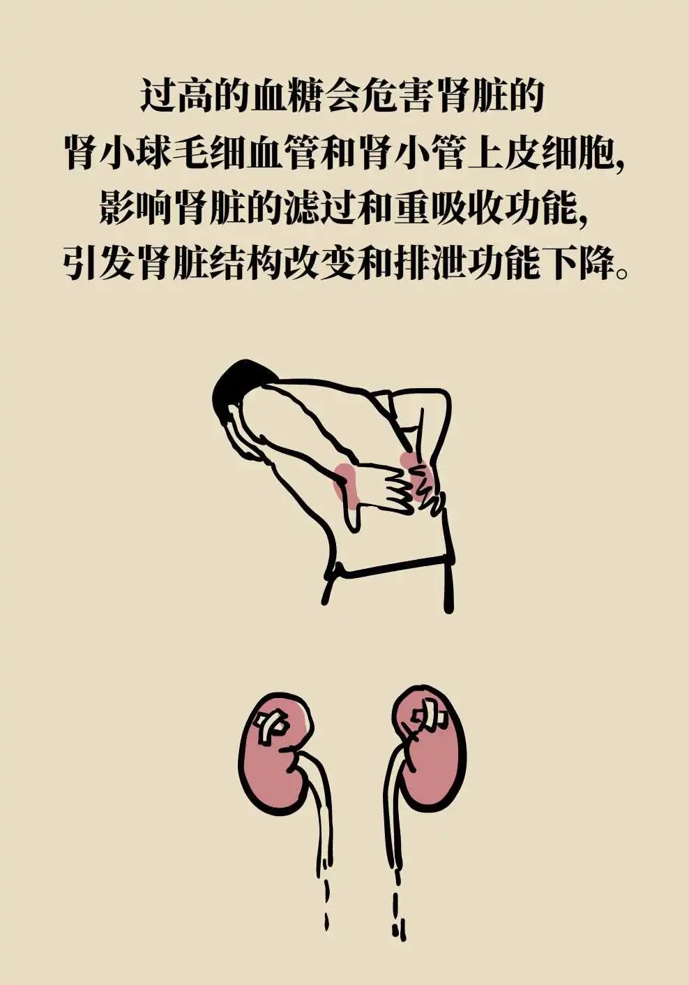 【健康图解】遇上“高糖”，警惕心肾“受伤”！