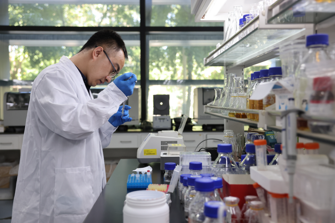 【热资讯】中国科学家,又有新成果! 【热资讯】中国科学家,又有新成果!