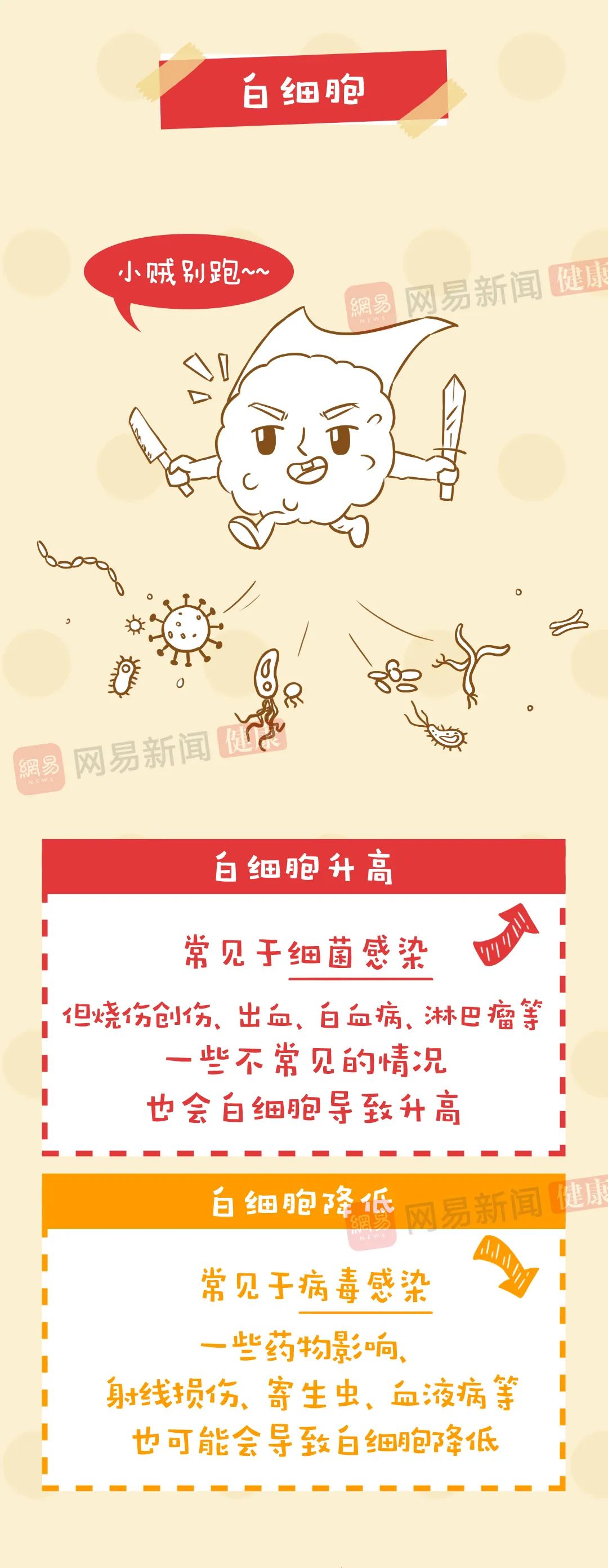 血常规结果看不懂？抓住这四个核心项就够了