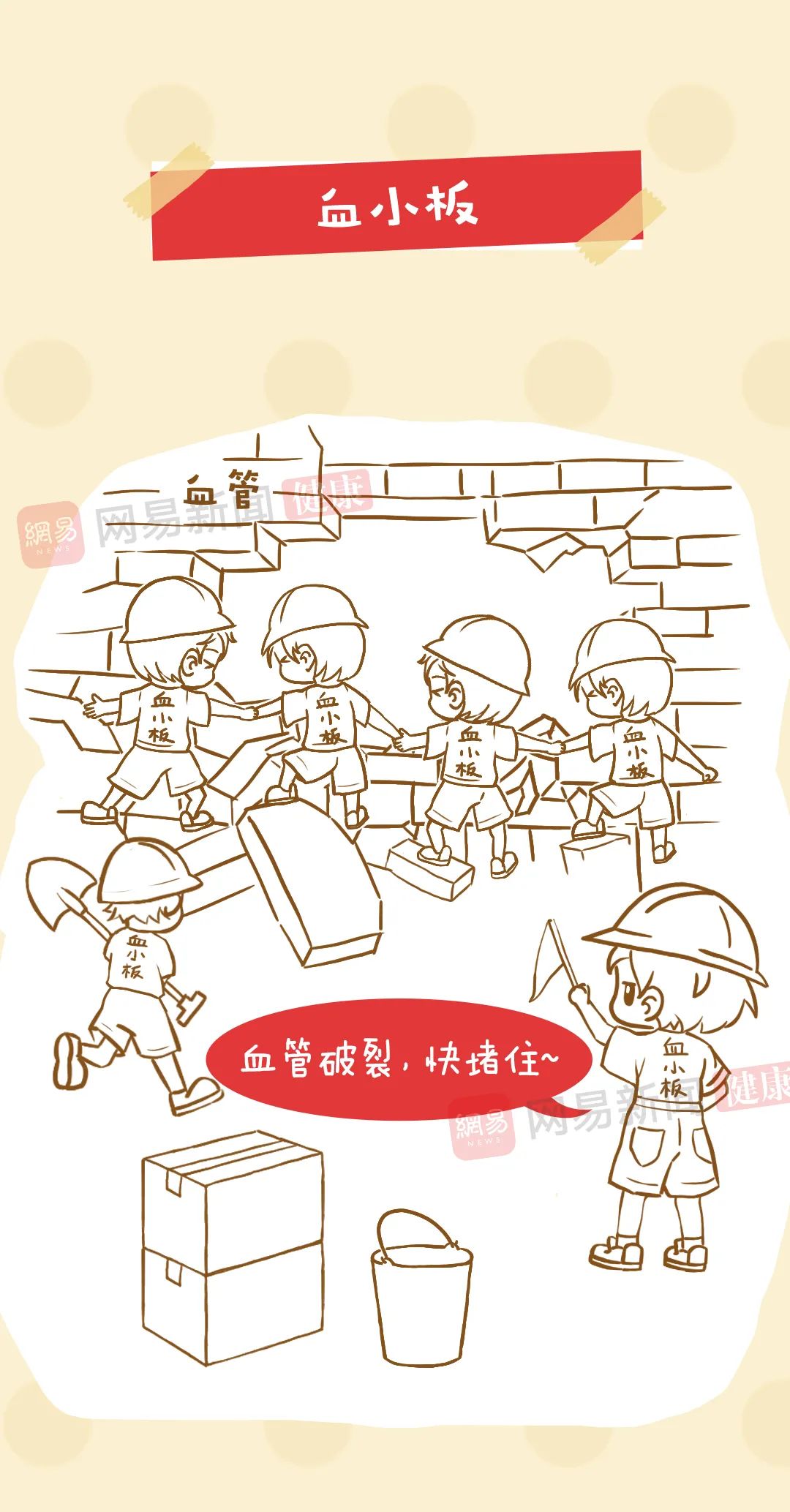 血常规结果看不懂？抓住这四个核心项就够了