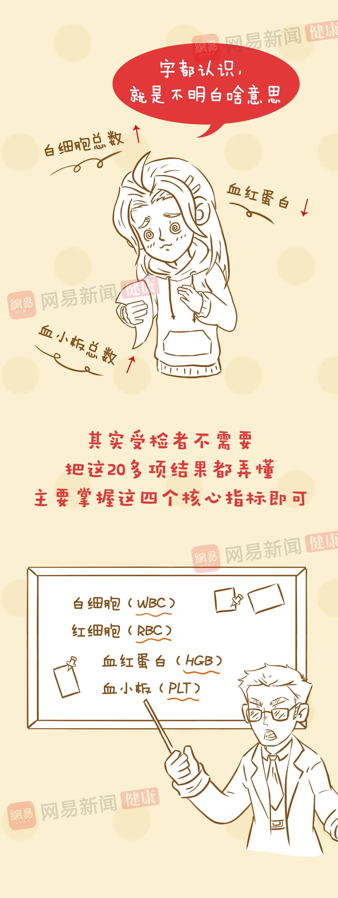 血常规结果看不懂？抓住这四个核心项就够了