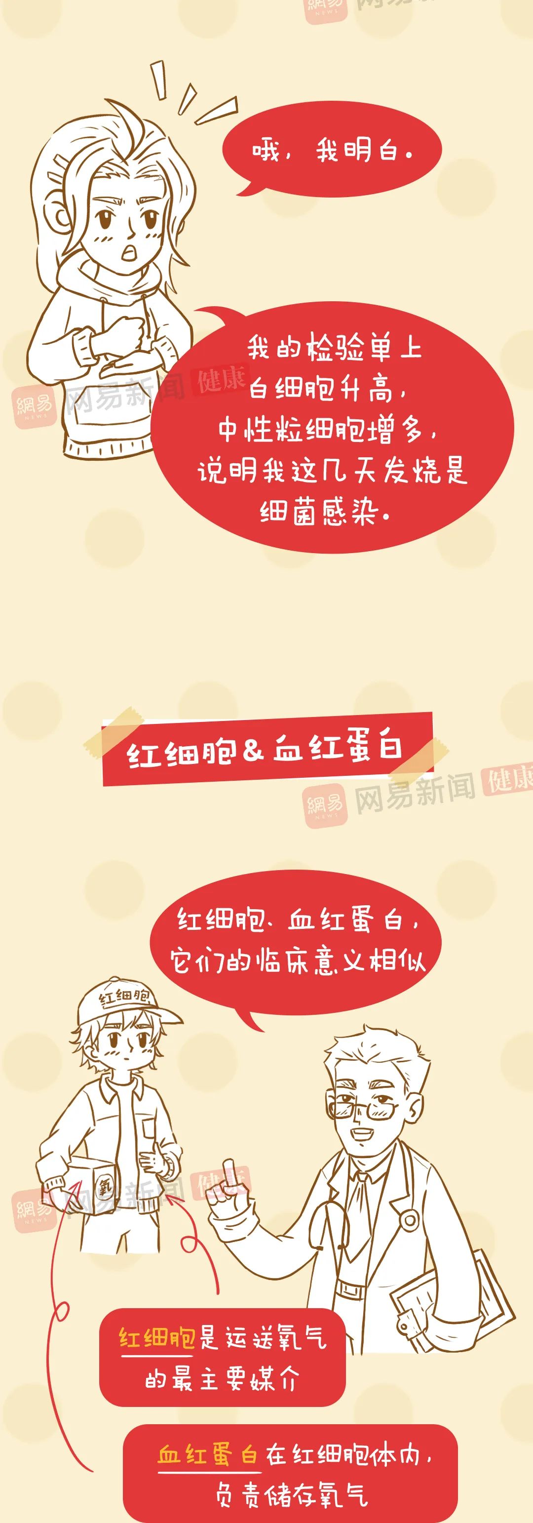 血常规结果看不懂？抓住这四个核心项就够了