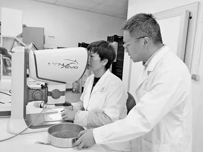 科学家精神丨在深山密林中探寻科学秘境