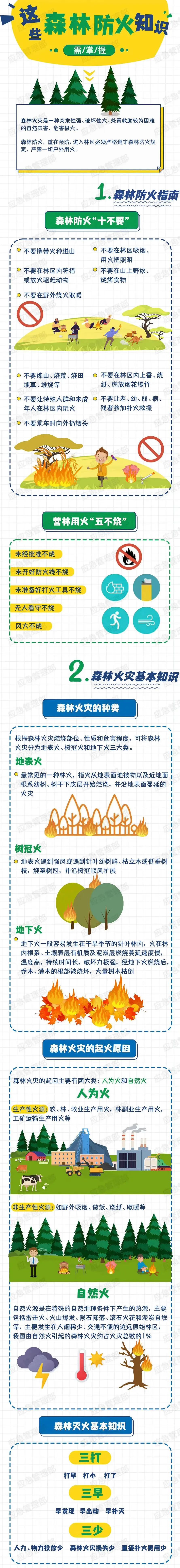 【安全科普】惊险！云南这里的火墙高达数十米！关于山火，牢记这些