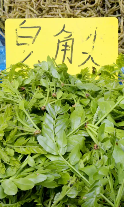 【美好生活在云南】吃“花”群众上线,到篆新,赴一场春的盛“宴” 【美好生活在云南】吃“花”群众上线,到篆新,赴一场春的盛“宴”