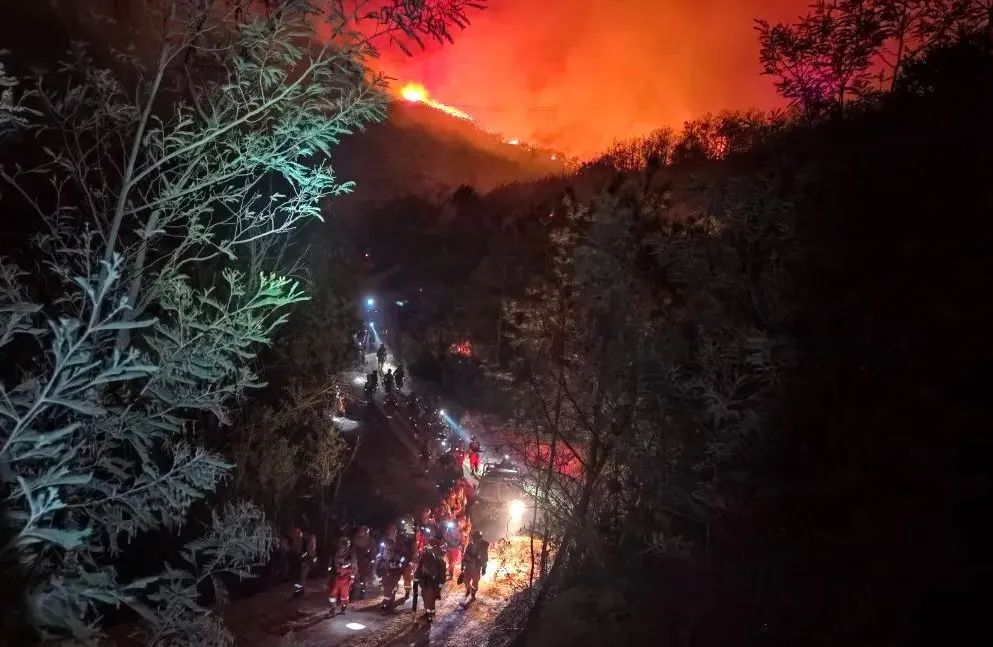【安全科普】惊险！云南这里的火墙高达数十米！关于山火，牢记这些