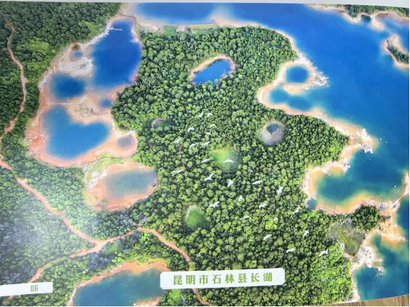 【国际生物多样性日】龙翔小学参加昆明举办的2024年国际生物多样性日宣传活动生物多样性，你我共参与！