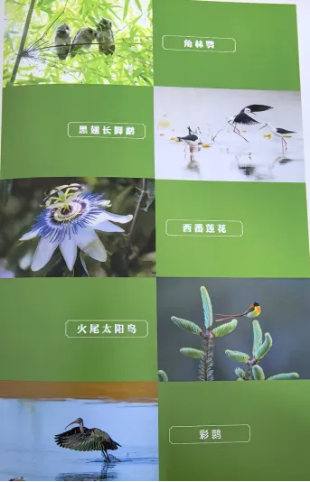 【国际生物多样性日】龙翔小学参加昆明举办的2024年国际生物多样性日宣传活动生物多样性，你我共参与！